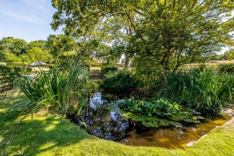 Pond