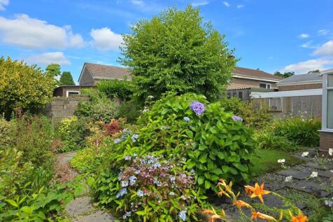 Garden 2