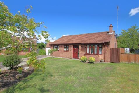 Front - b.JPG