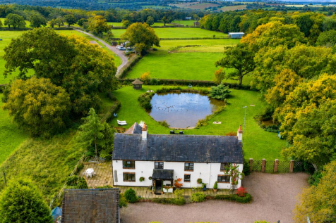 Plot Aerial