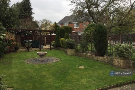 Back Garden