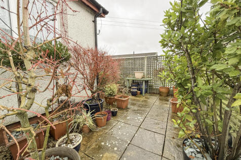 garden (2)