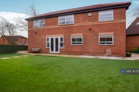 Back Garden - Rear View