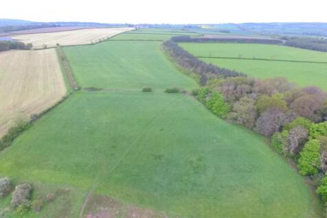 DJI_0447.JPG