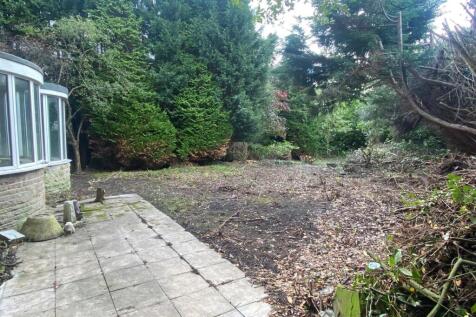 rear garden.jpg