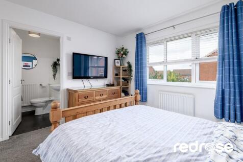 web_16 Old Thorns...