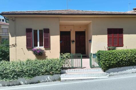 WhatsApp Image 2025-