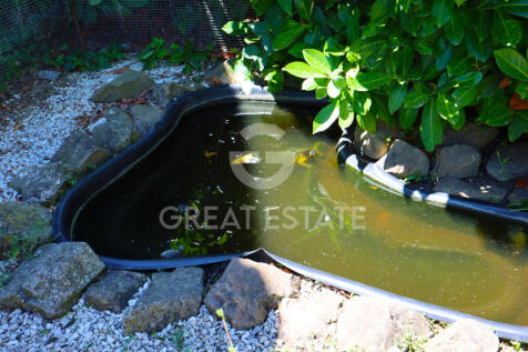 Panorama e Particolari