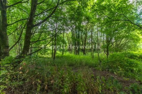 Adjacent woodland