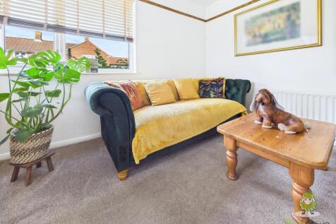 CAM01543G0-PR0135-STILL025