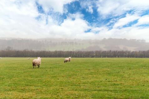 Farm Land for sale Image 5