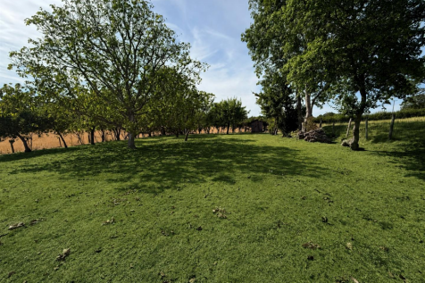 Property Image 32
