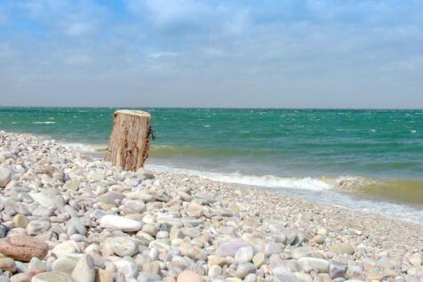 beach view to tree stump.jpg