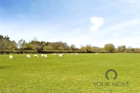Field View