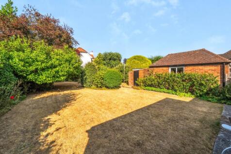 Back Garden