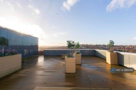Roof Terrace