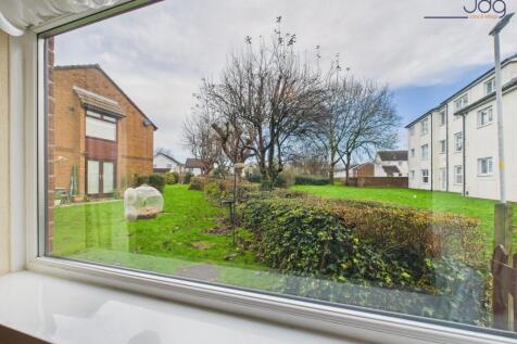 View from the Living Room