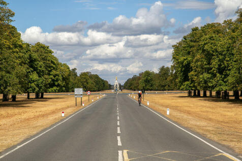 Bushy Park