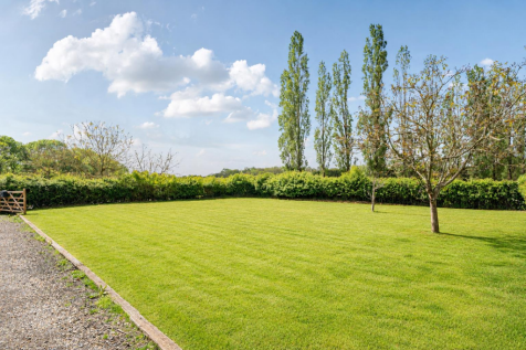 Retouched Lawn Photo.png