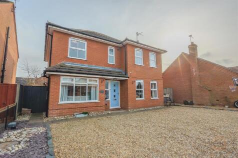 2 heron close-28.jpg