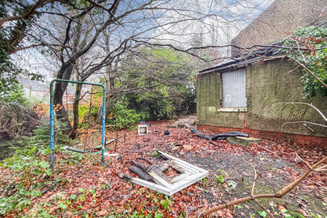 IMG 7934 T202601191309 T202601191700.jpg