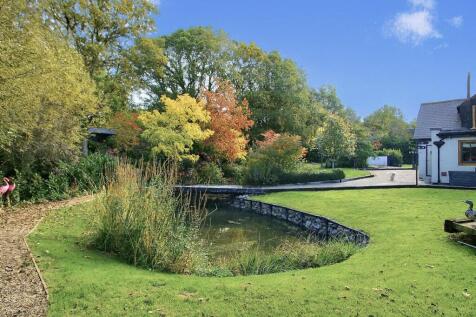 ChatGPT Image Oct 14, 2025, 02_29_38 PM.jpg