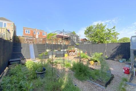 resized_IMG_7835.jpg