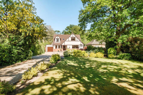 39-681e1a354cf05-...