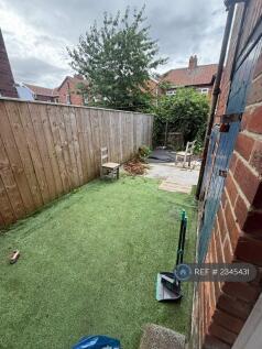 Back Garden