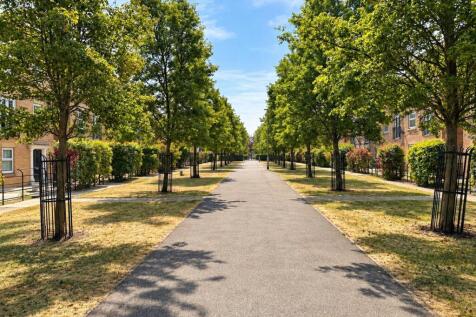 Tree-Lined Avenue