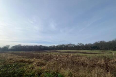 Photo 2.jpg