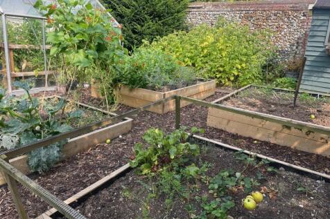 kitchen garden in summer.jpg