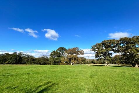 Photo 08-10-2025, 14 27 02.jpg