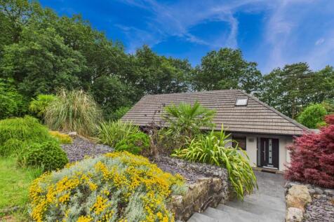 CAM03729G0-PR0082-STILL036