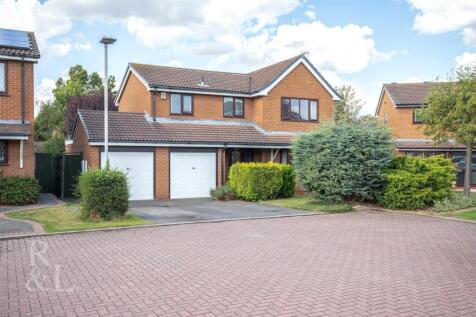 7 Little Hayes (1).jpg