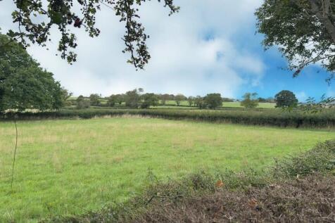 F363F503-9898-45C...