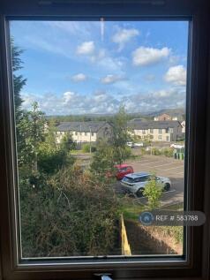 View From The Kitchen 