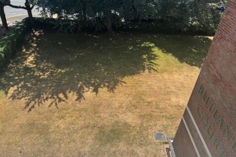 balcony views 2.jpg