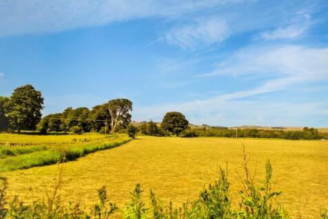 Countryside Views 