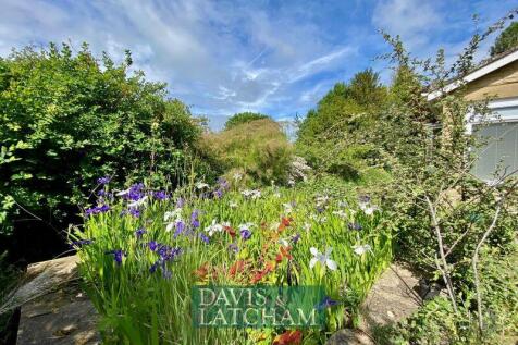 A view of the Garden