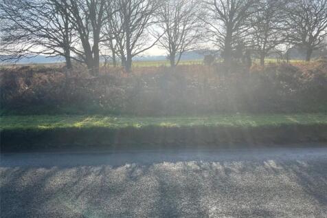 Photo 01