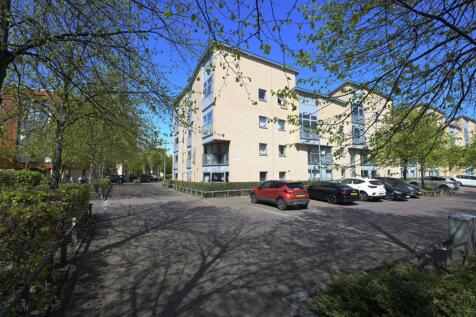 MFL1254499_334.jpg