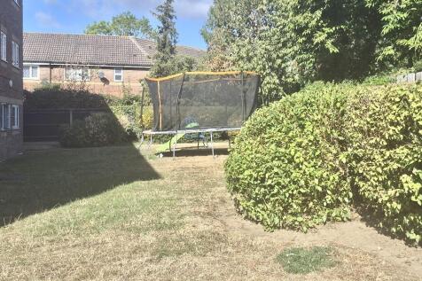 IMG_1714 (1).JPEG