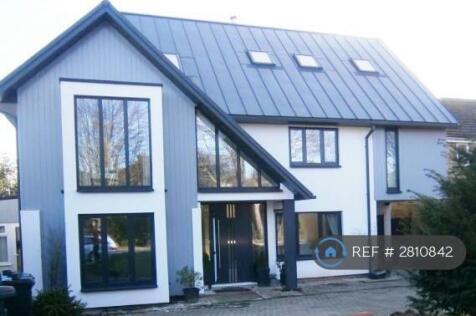 Contemporary Home 