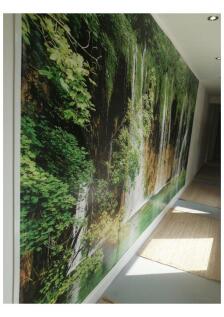 clifford-street-wv6-0aa-963982