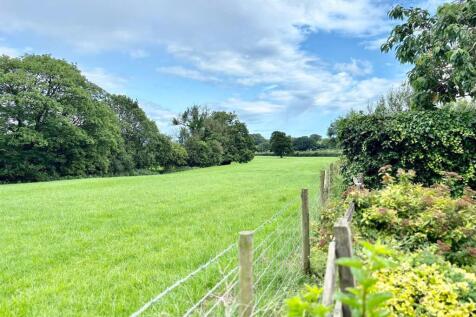 PHOTO-2025-07-15-10-12-26 3.jpg