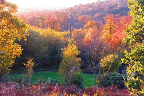 Property Image 37