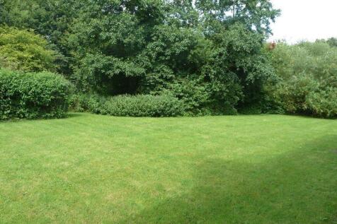 Photo 06