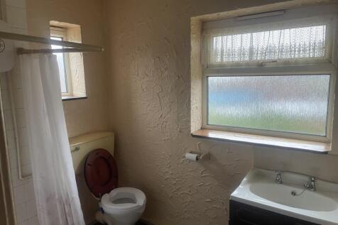 IMG 5960 T202601211317.jpeg