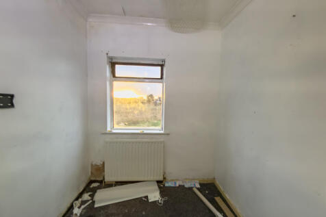 IMG 9781 T202601012022.jpg